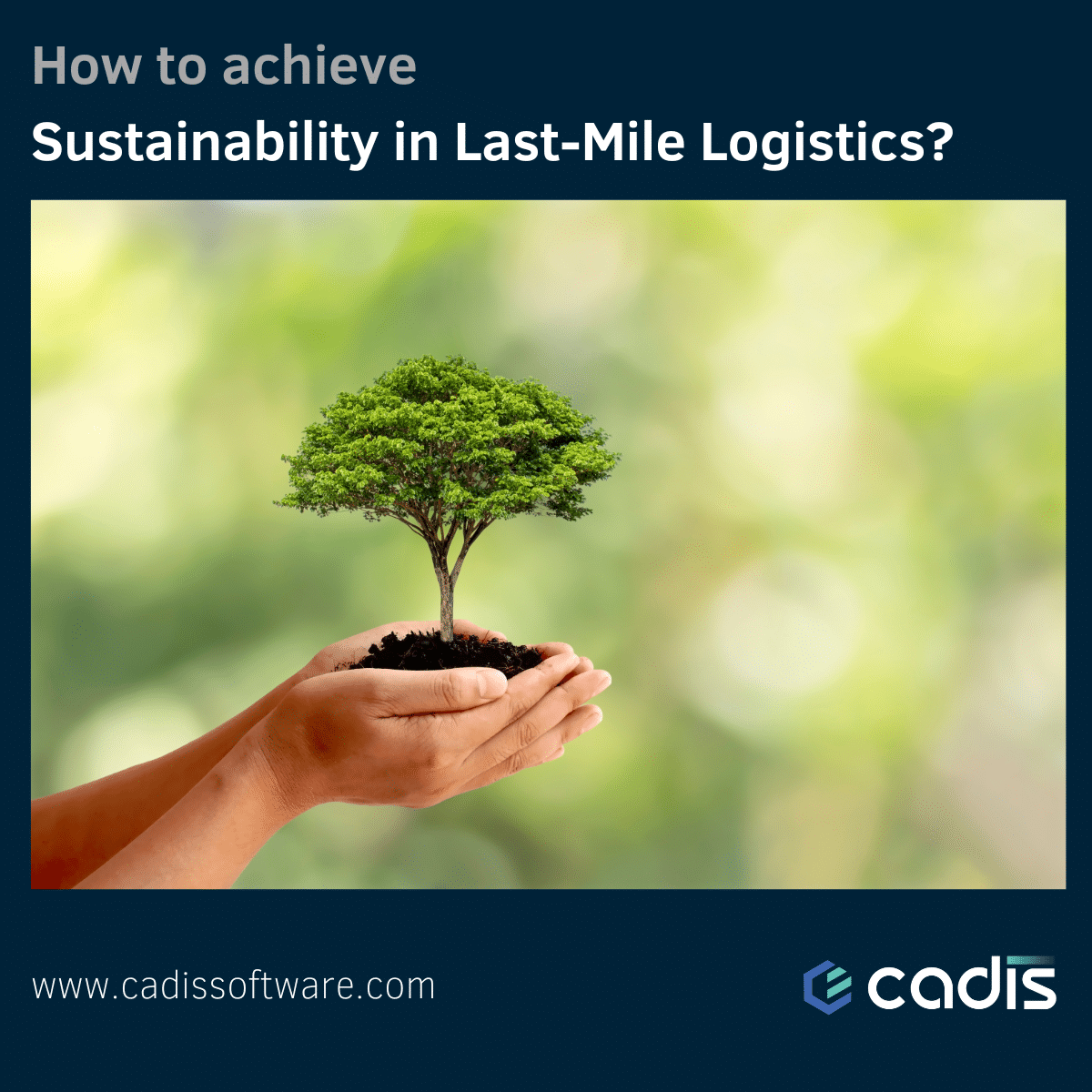 Championing Sustainability in Last-Mile Logistics: A Path to a Greener Future!